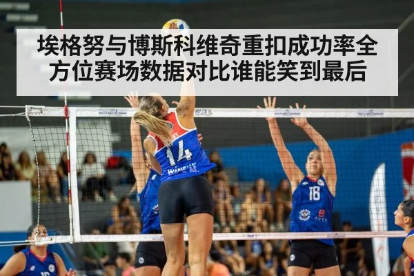 volleyball match